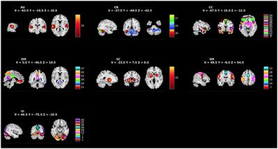 Psychopathic traits and altered resting-state functional connectivity in incarcerated adolescent girls